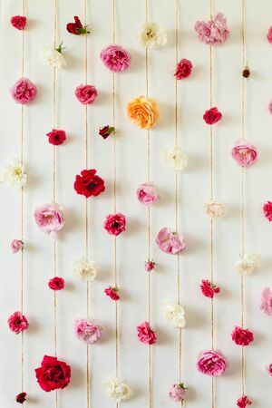 stunning floral texture of rose buds on white wall, nature flowersの写真素材