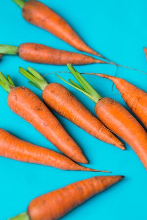 A few fresh carrots on blue background. Rustic style. Farming.の写真素材