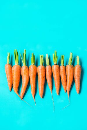 several fresh carrots lie in a row on a blue background.. Rustic style. Farming.の写真素材