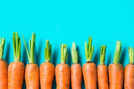 several fresh carrots lie in a row on a blue background.. Rustic style. Farming.の写真素材