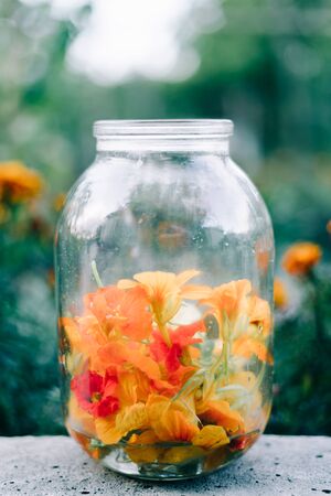 edible multicolored nasturtium flowers in a glass jarの写真素材