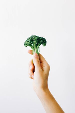 green inflorescence of fresh broccoli in hand on a white background.の写真素材