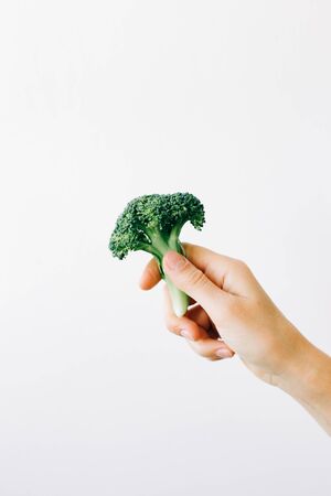 green inflorescence of fresh broccoli in hand on a white background.の写真素材