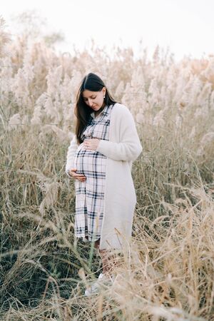 a young pregnant girl in a light checked dress and a warm jacket on the street among the reedsの写真素材