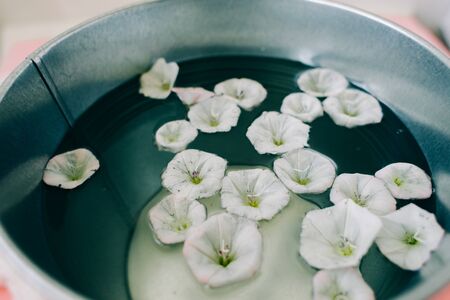 white flowers in a bucket of waterの写真素材