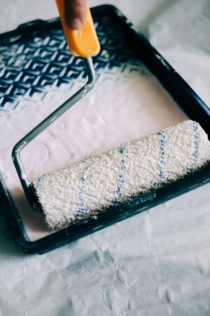 the roller is wetted in a liquid primer in a plastic black containerの写真素材