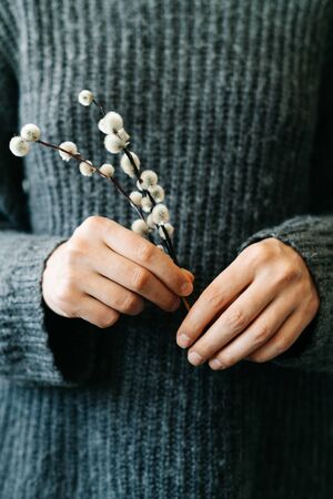 a smiling Girl in a gray knitted sweater holds natural branches of a budding willow in her...
