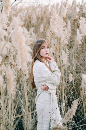 portrait of a young beautiful girl in a white dress, a warm knitted cardigan and black shoes among dry fluffy reeds in the autumn time at sunset.nature,fashion conceptの写真素材