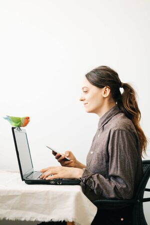 young European woman, working from home during the virus quarantine, on her laptop.a small green lovebird parrot sits on a laptop monitor.A cosy working place,the concept of remote workの写真素材