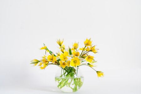 Bright yellow big sunflowers in glass vase on dark table on light texture background. Mockup banner with sunflower bouquet with copy space. springtime conceptの写真素材