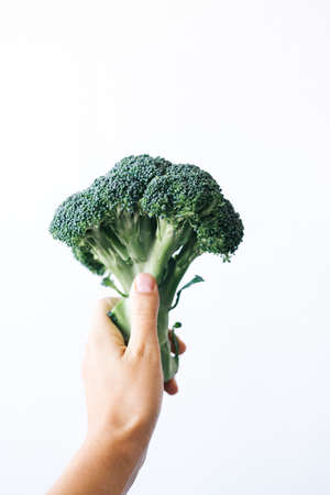 fresh green head of broccoli cabbage in hand on a white backgroundの写真素材