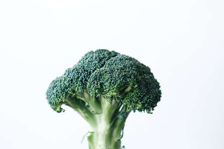 fresh green head of broccoli cabbage in hand on a white backgroundの写真素材