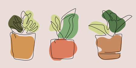 Set of four doodle pots with different plants. Vector illustration.のイラスト素材