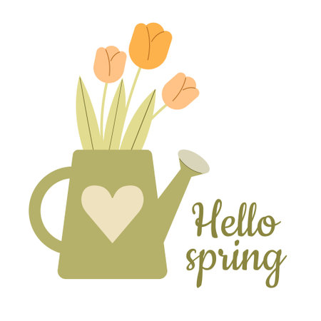 Hello spring card with tulips in watering can. Vector illustration.のイラスト素材