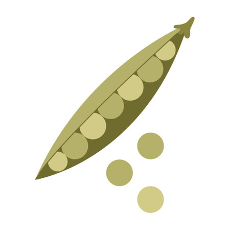Peas icon. Flat illustration of peas vector icon for web designのイラスト素材