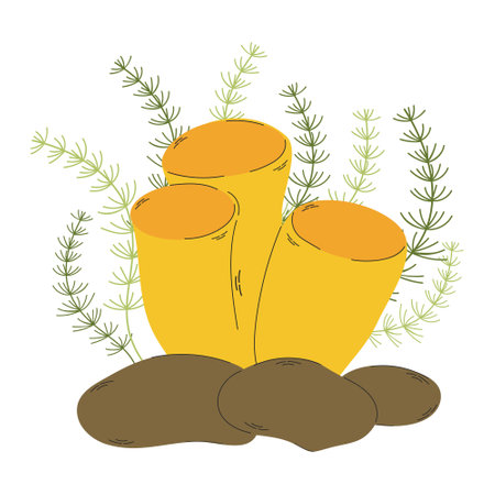 coral reef with seaweed icon vector illustration design vector illustration designのイラスト素材