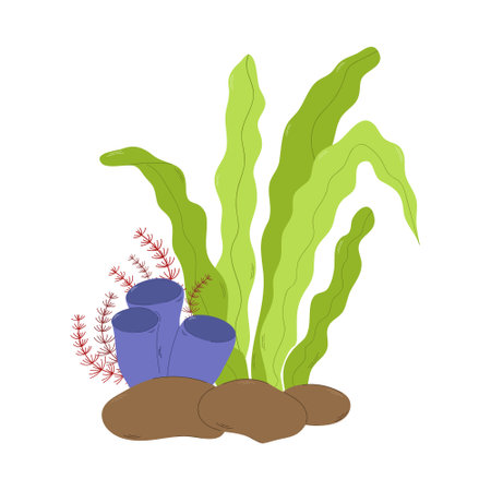 Seaweed and seaweed. Underwater plants. Vector illustration.のイラスト素材