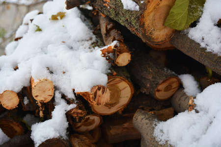 Beautiful boughs, branches, firewood, wood from natural wood for kindling a fireplace and lie under...