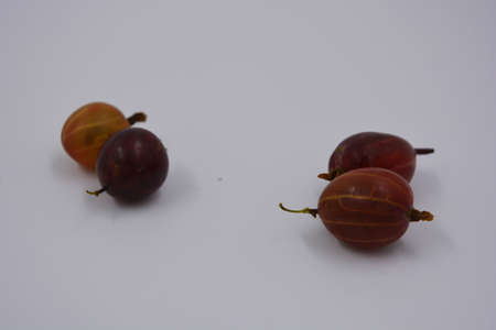 Delicious ripe fruits of red juicy gooseberries arranged in a handful on a white matte background with bright lighting. Useful and healthy food for the human body, delicious sweet and sour fruits.の写真素材
