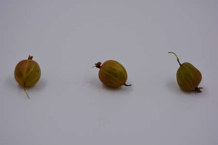Large fruits of red juicy gooseberries located on a white matte background with bright lighting. Useful and healthy food for the human body, delicious sweet and sour fruits.の写真素材
