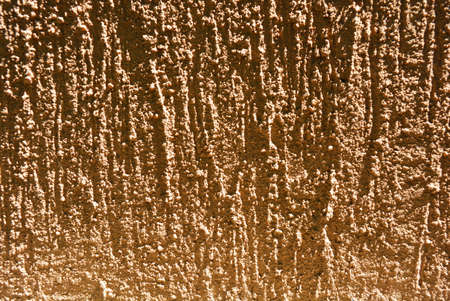 Brown structural street plaster, bark beetle building paint for outdoor decoration in sunlight.