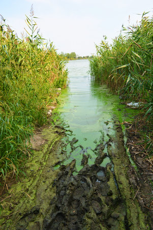 A beautiful and colorful walk along the bank of the Samara River in the area of the Shevchenko farm....