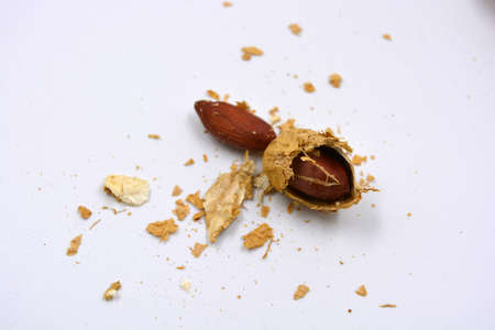 Delicious and useful nuts, brown dried peanuts in its shell, shell dismissed on a white background.