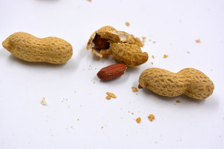 Delicious and useful nuts, brown dried peanuts in its shell, shell dismissed on a white background.の写真素材