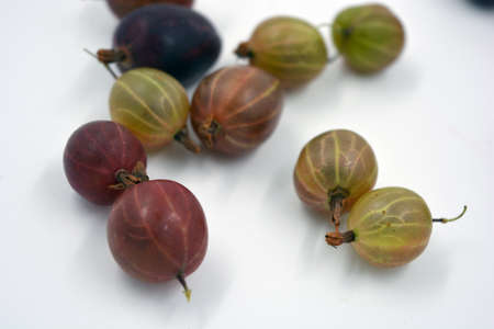 Delicious and useful fruits, freshly coloned brown, red and green gooseberry berries are located on a white background.の写真素材