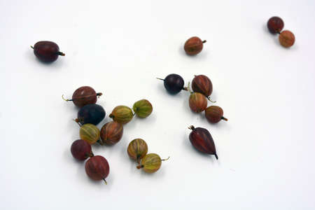 Delicious and useful fruits, freshly coloned brown, red and green gooseberry berries are located on a white background.の写真素材