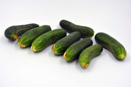 Fresh delicious ripe natural green cucumbers growing on a Ukrainian garden, vegetable garden, field.の写真素材