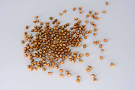 Fresh cereals, brown buckwheat risen in plastic container and white background with interesting lighting.の写真素材