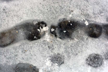 Unusual human footprints from shoes on a white snow road in winter.
