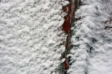 White, fluffy snow glued to a dark metal sheet, winter white background.の写真素材