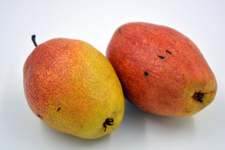 Fresh fruits, delicious and healthy yellow red pears lie on a white background. Ripe pearls on a white background. close-up.の写真素材