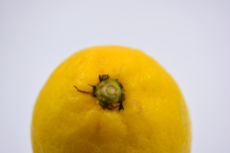 Delicious and healthy ripe fruits, one large yellow lemon arranged on a white background. Ripe lemon on a white background. close-up, macro.の写真素材