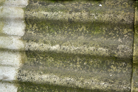 Old building material, not new gray slate with green moss. Close-up of old and weathered stone wall with green mossの写真素材