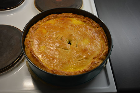 Homemade cakes, fresh delicious, beautiful vegetable pie just from the oven.の写真素材