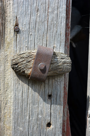 Unusual old wood, wooden boards with old peeling paint with an interesting textured structure with...