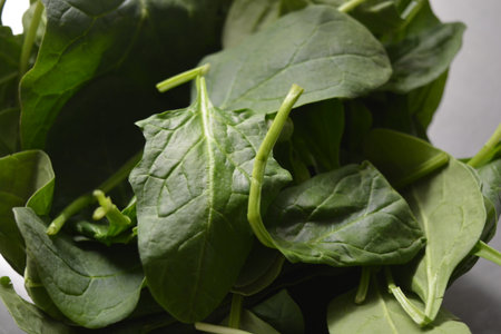 Spinach leaves in a bowl, close-up, horizontal Healthy, wholesome, high-quality food, a big green bunch of lettuce, lots of green leaves.の写真素材