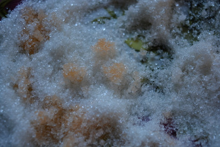 Close up of frozen vegetables in ice. Shallow depth of field. Plate with white beet sugar with drops of orange juice.の写真素材