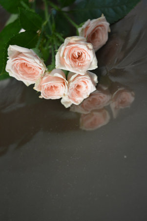 Bouquet of pink roses reflected in a puddle of water. Elegant yellow pink small roses with green leaves, natural fresh chic rose pink cream color on black background.の写真素材