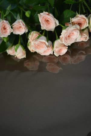 Bouquet of pink roses on a black background with reflection. Elegant yellow pink small roses with green leaves, natural fresh chic rose pink cream color on black background.の写真素材
