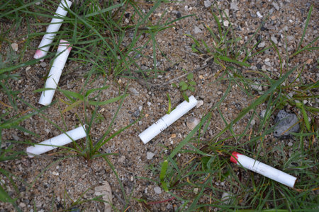 Cigarettes on the ground in the garden. The concept of smoking. A large number of white cigarette...