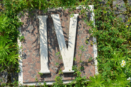 Old stone tombstone with white letter V in the grass and flowers. White inscriptions in gray granite of Roman numerals one, two, three, four, five, six, seven, eight, nine and ten.の写真素材