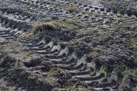 Wheel tracks on the soil. Tractor tracks on the soil. Unusual backgrounds, drawing from the wheels of passing construction tractor on ground, soil, yellow sand with green plants.の写真素材