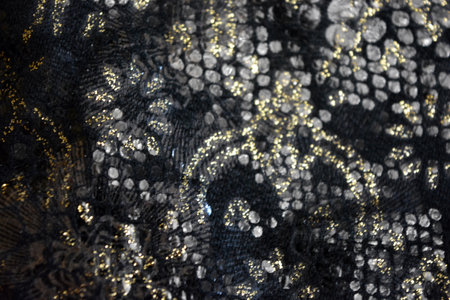 The texture of the fabric is black with sequins. a small, shiny disk sewn as one of many onto...