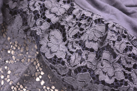 Texture lace. a fine open fabric, typically one of cotton or silk, made by looping, twisting, or...