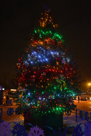 Christmas tree with multicolored lights in the city park at night. A large green pine, a Christmas...