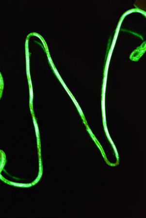 Neon lights on a black background. Shallow depth of field. Beautiful thin glowing green, lime wires, beaten cable twisted in the form of a sign on a black plastic.の写真素材